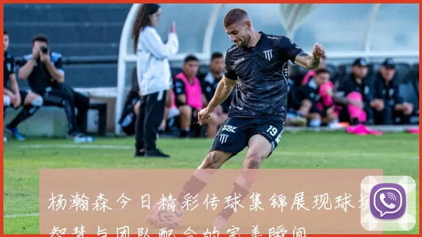 杨瀚森今日精彩传球集锦展现球场智慧与团队配合的完美瞬间