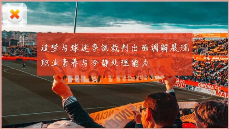 追梦与球迷争执裁判出面调解展现职业素养与冷静处理能力
